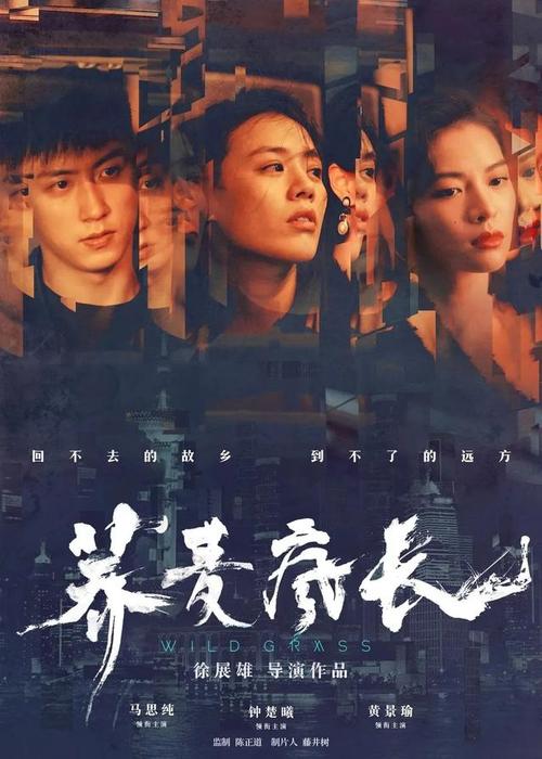 办理假印度驾驶证